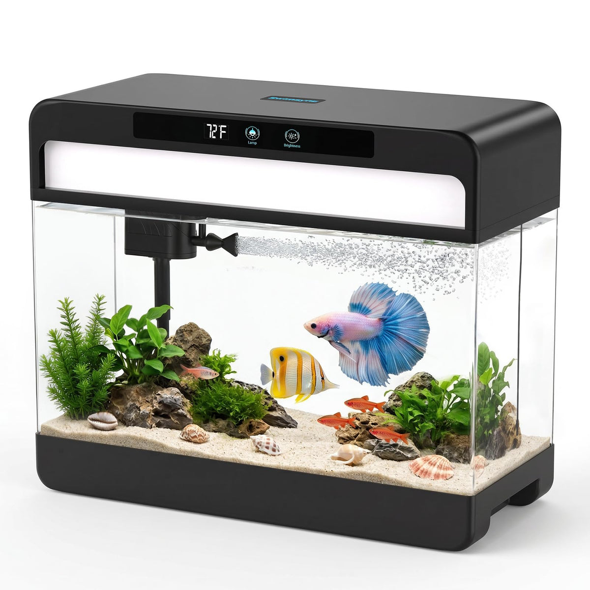 3 Gallon Black Aquarium Starter Kit C58510