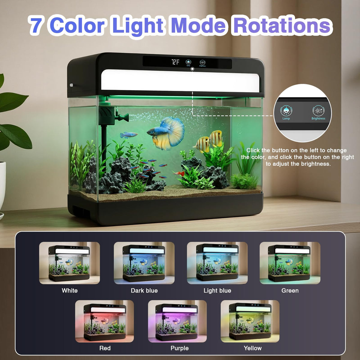 3 Gallon Black Aquarium Starter Kit C58510