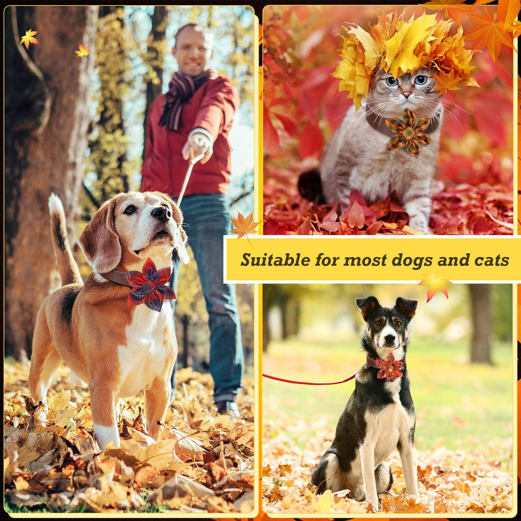 60 Pcs Fall Dog Collar G987