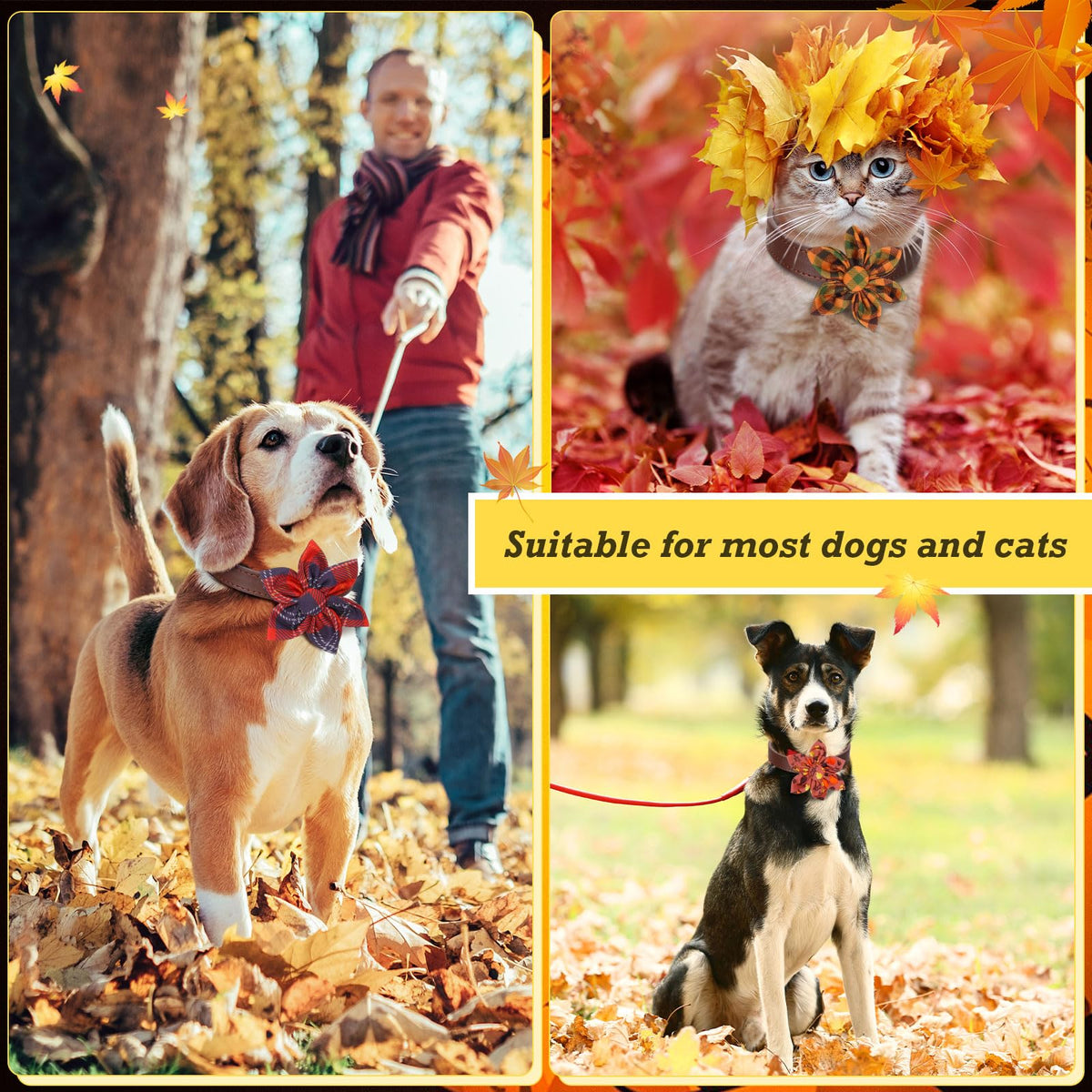 60 Pcs Fall Dog Collar G987