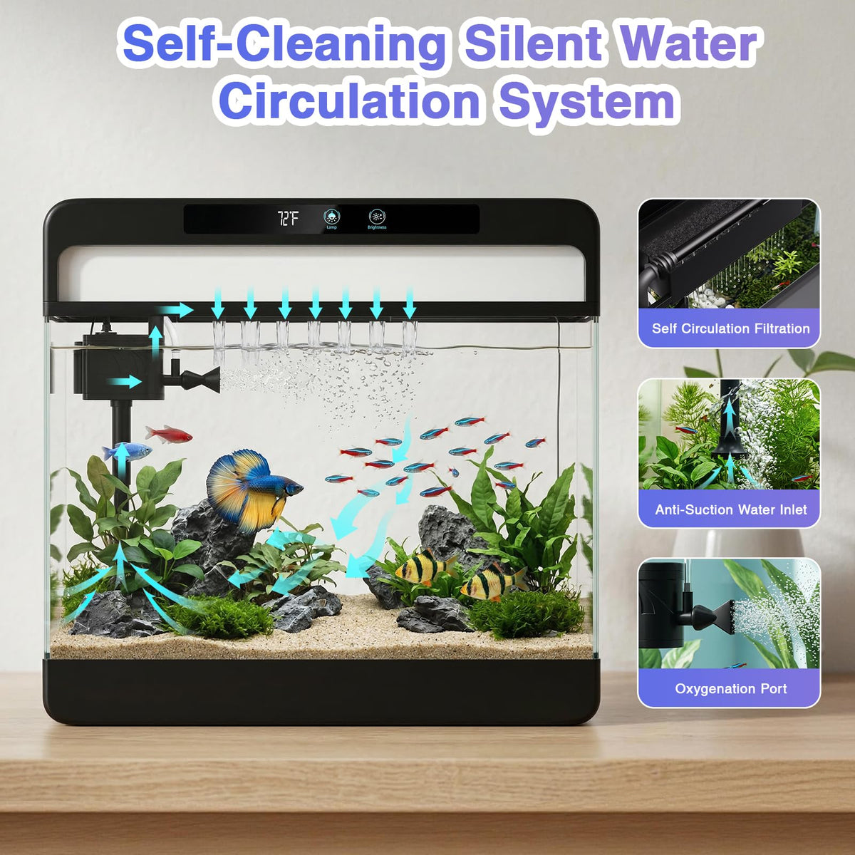 3 Gallon Black Aquarium Starter Kit C58510