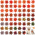 60 Pcs Fall Dog Collar G987
