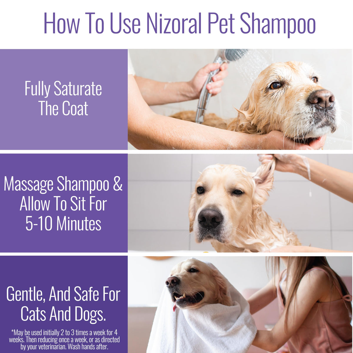 16 Oz Chlorhexidine Pet Shampoo U77637