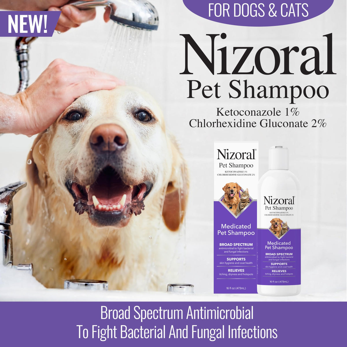 16 Oz Chlorhexidine Pet Shampoo U77637